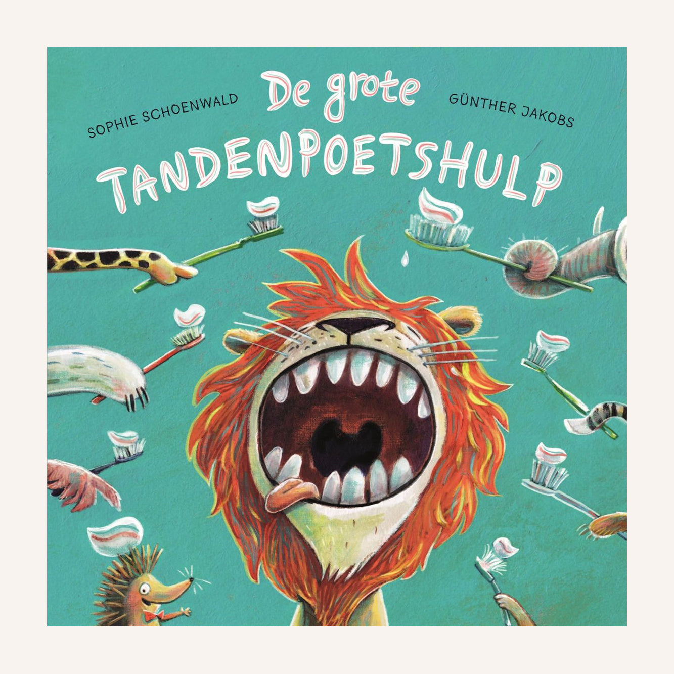 Grote Tandenpoetshulp | Boek
