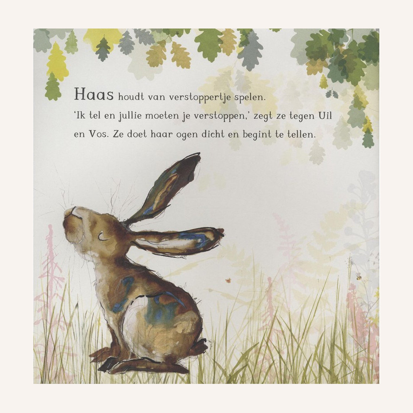 Haas, Uil & Vos Spelen Verstoppertje | Boek