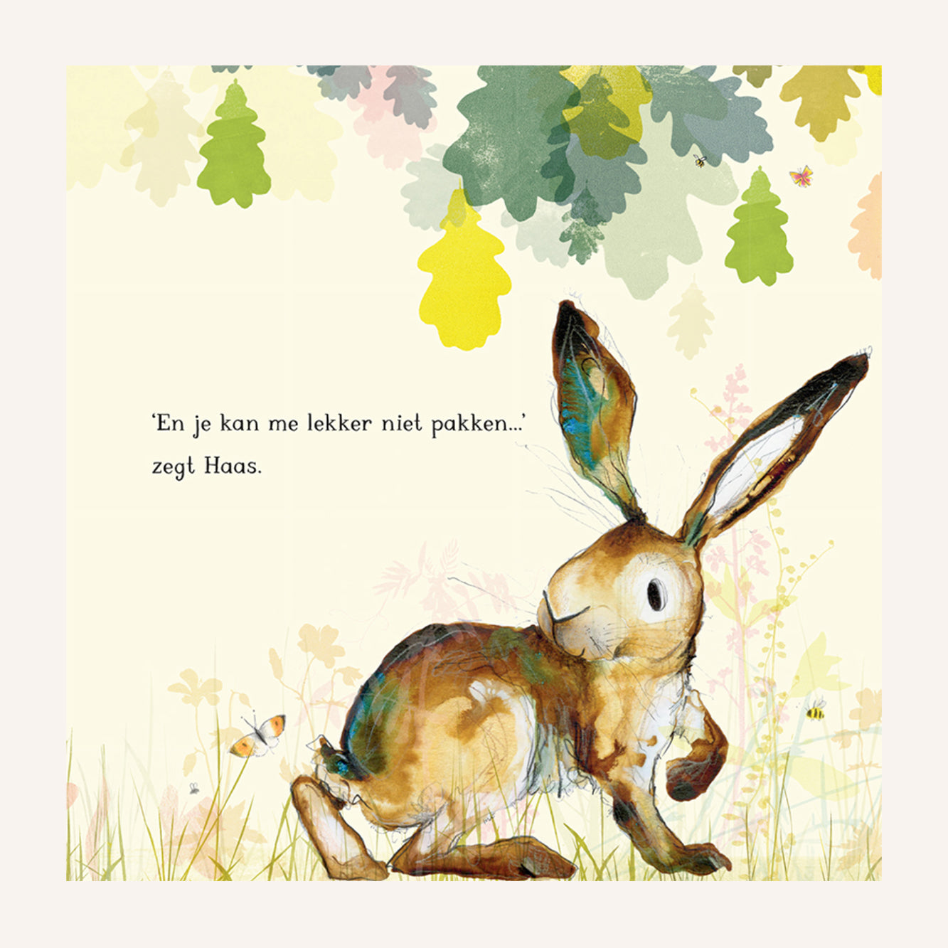 Hase, Eule und Fuchs spielen Fangen | Buch