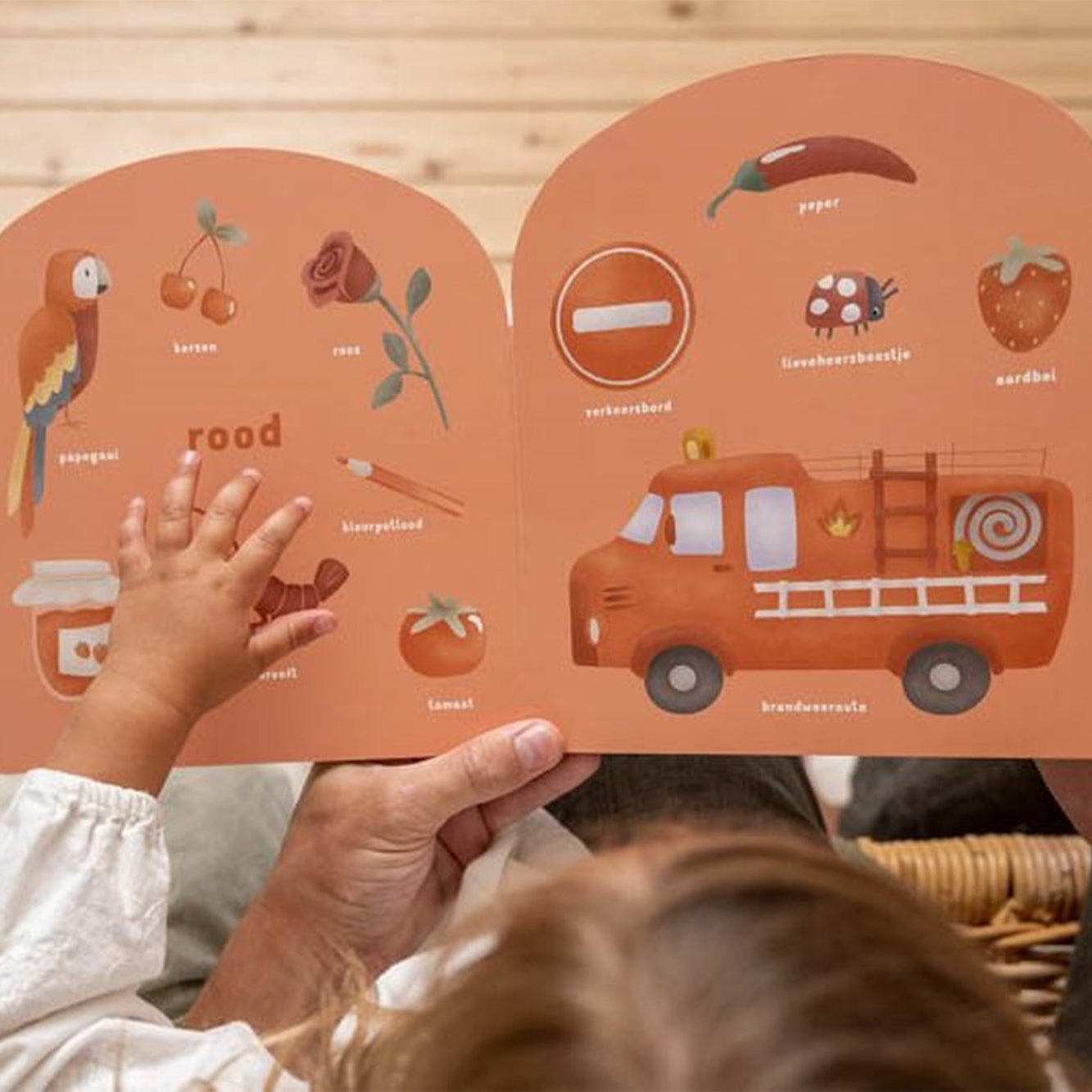 Regenboog | Kleurenboek