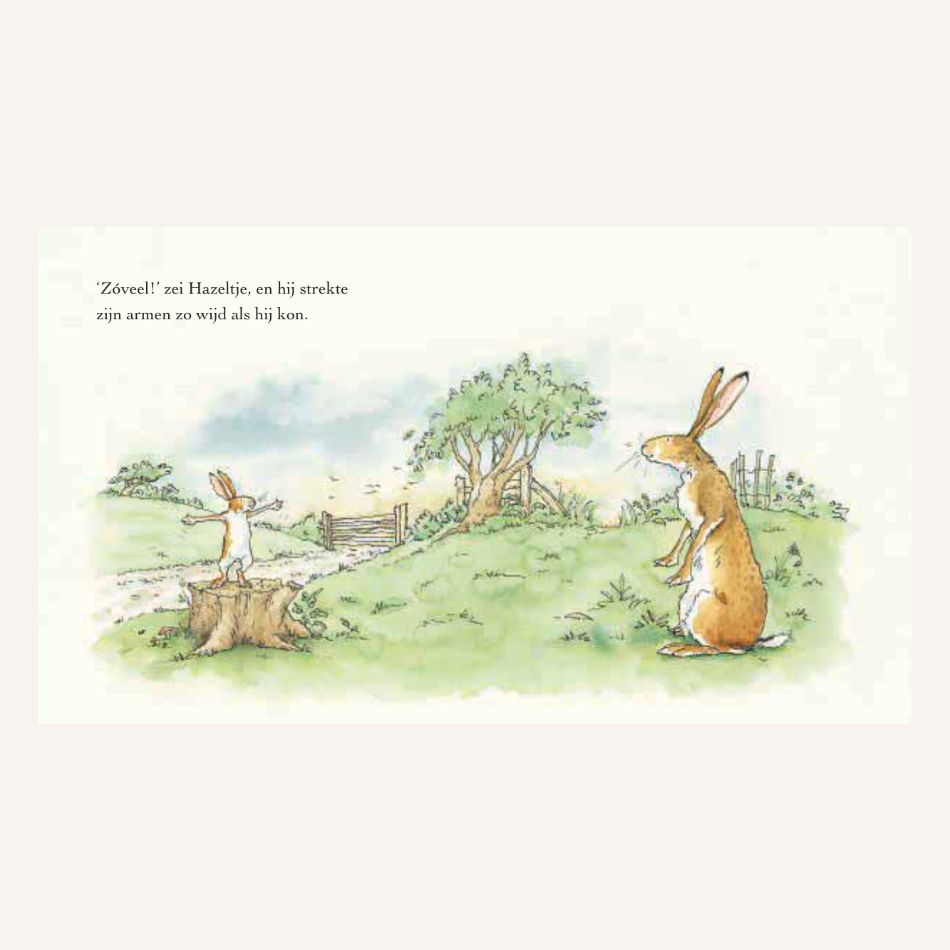 Raad Eens Hoeveel Ik Van Je Hou | Boek