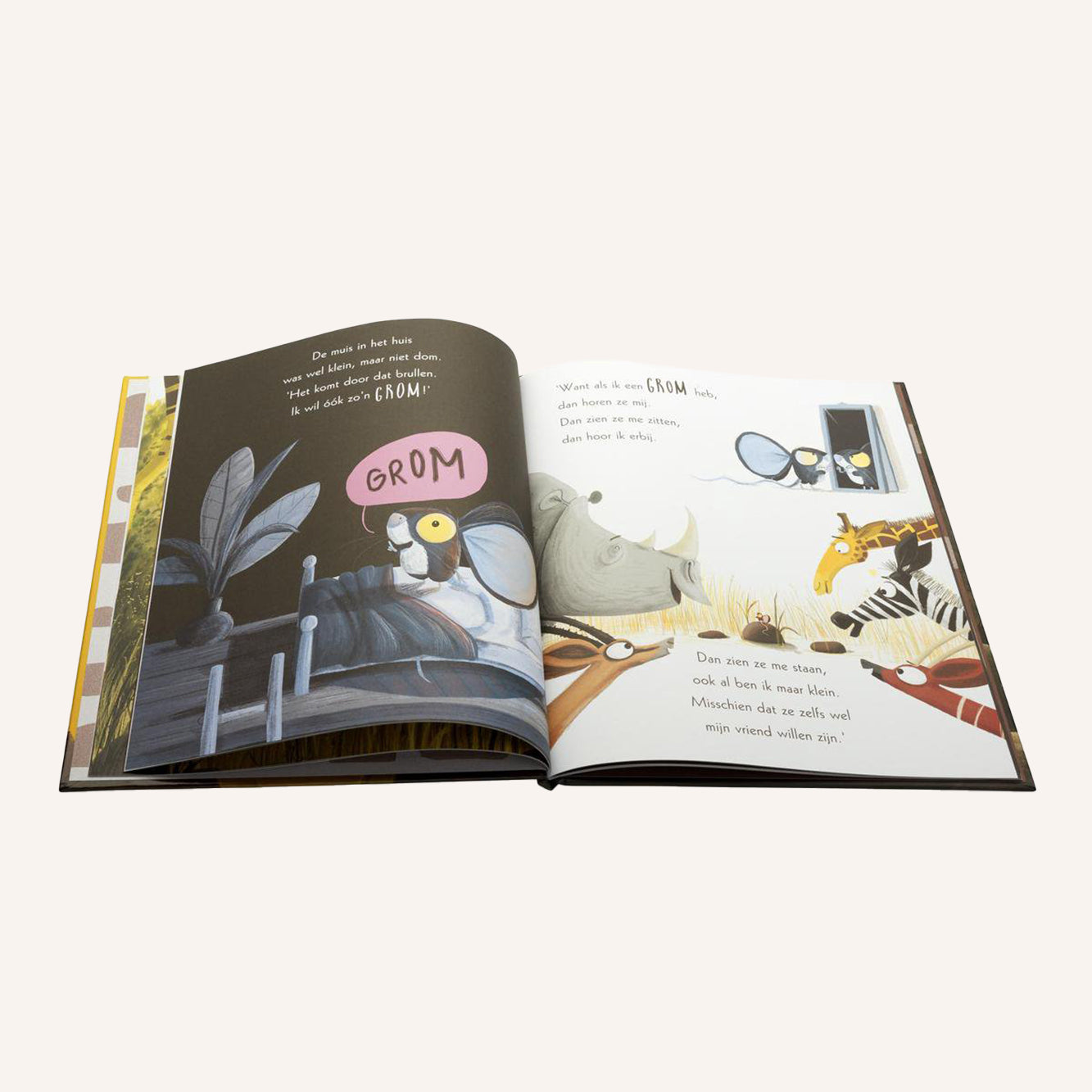 Leeuw In De Muis | Boek