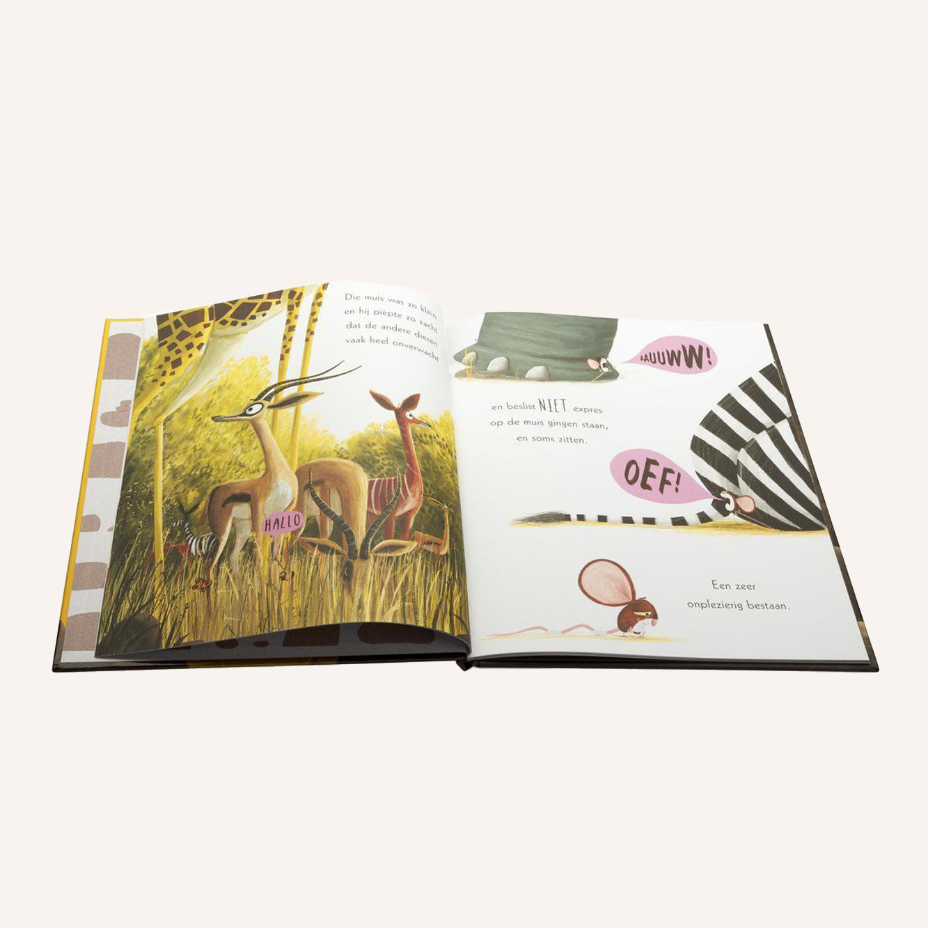 Leeuw In De Muis | Boek